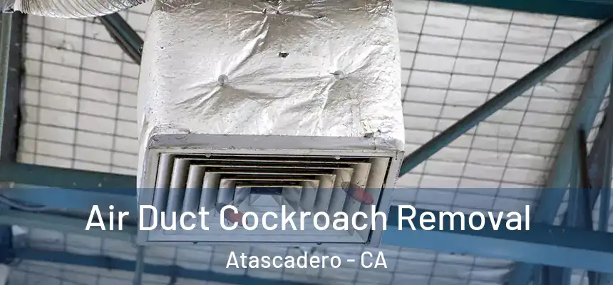  Air Duct Cockroach Removal Atascadero - CA