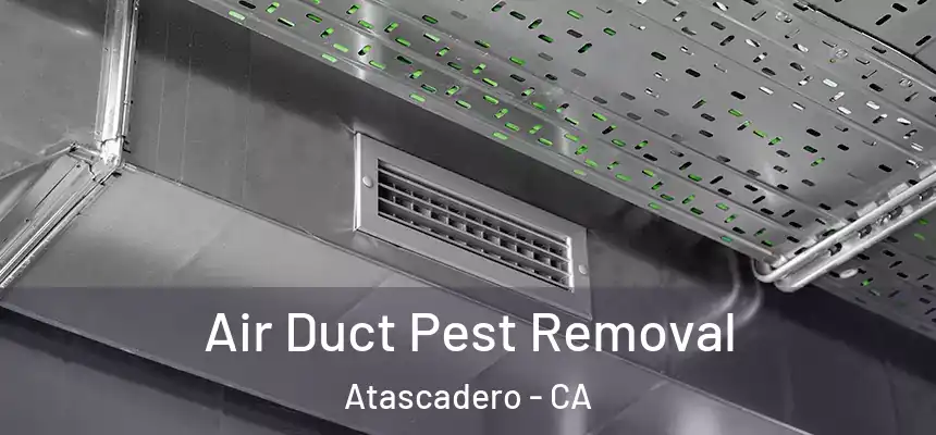  Air Duct Pest Removal Atascadero - CA
