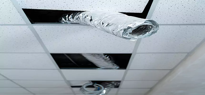 Affordable HVAC Sanitizing After Pest Removal in Atascadero