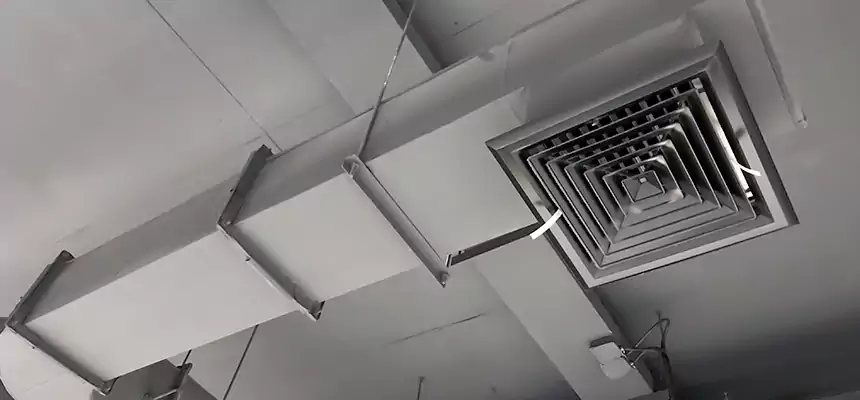 Our Pest Removal From Ducts Services in Atascadero, CA