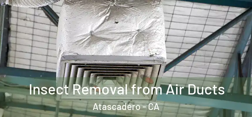 Insect Removal from Air Ducts Atascadero - CA