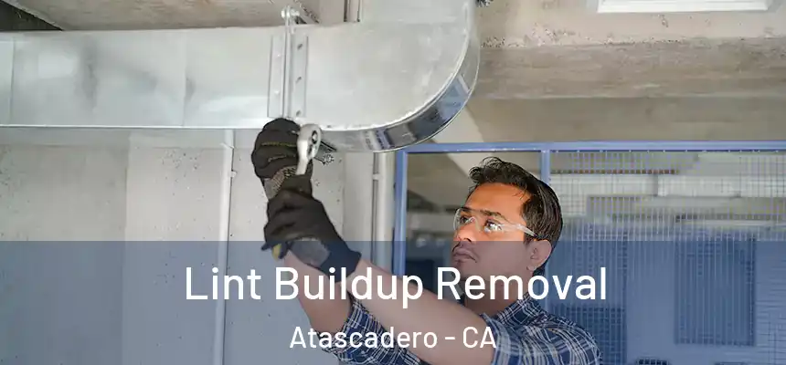  Lint Buildup Removal Atascadero - CA