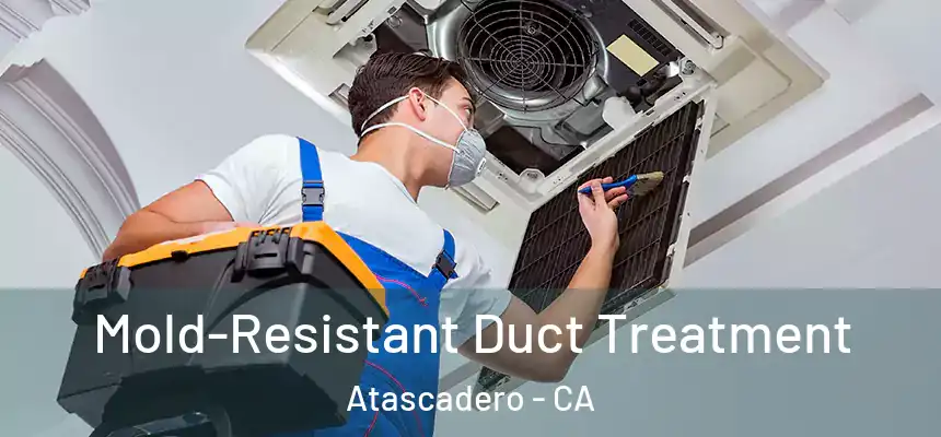  Mold-Resistant Duct Treatment Atascadero - CA