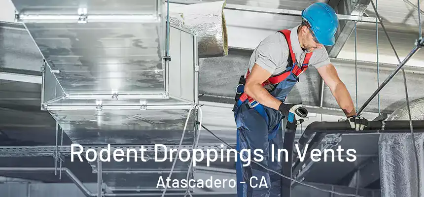  Rodent Droppings In Vents Atascadero - CA