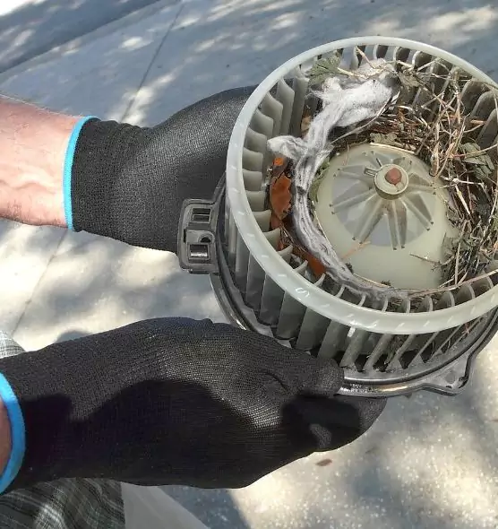 About Air Duct Mice Removal in Atascadero, CA