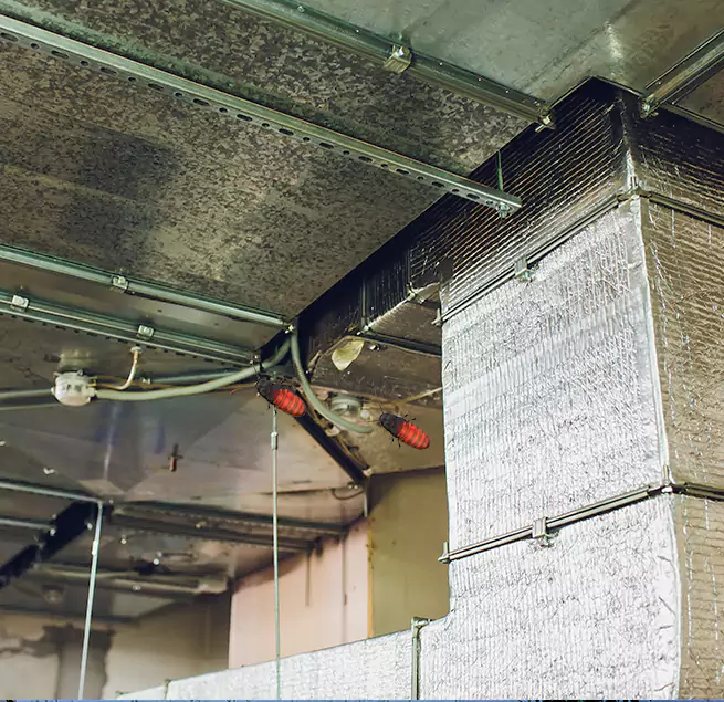 Why Homeowners & Businesses Trust Us in Atascadero, CA?